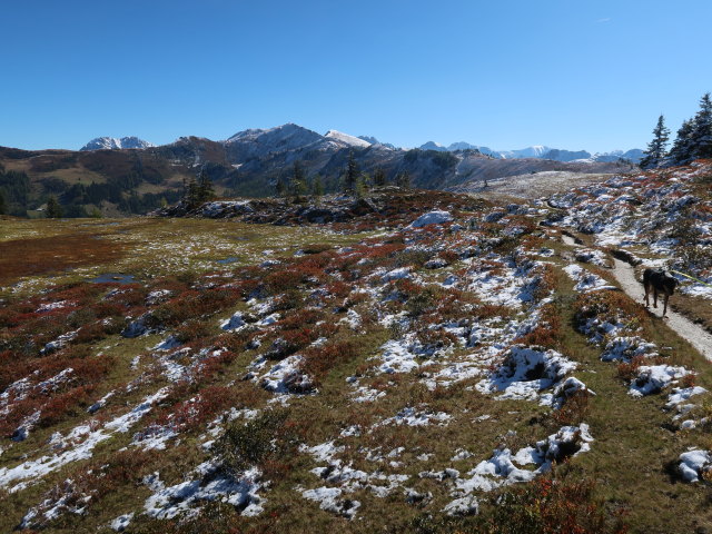 zwischen Saukaralm und Karalm