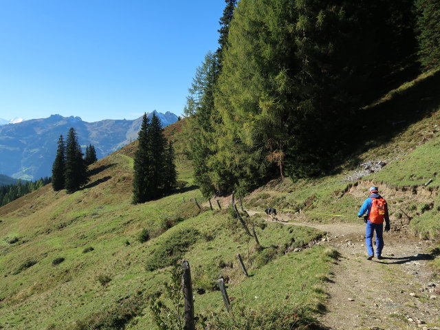 Georg zwischen Oberwandalm und Karsegg-Heimalm