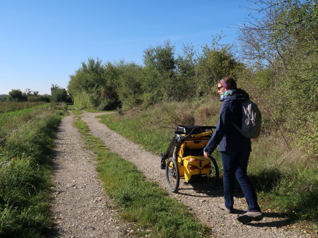 Sabine zwischen S&uuml;&szlig;enbrunn und Breitenlee