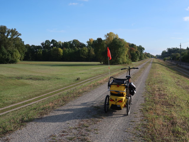zwischen D&uuml;rnkrut und Grub an der March