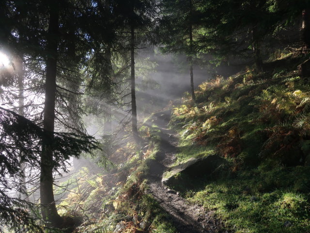 zwischen Pass Thurn und Gasthof Resterh&ouml;he (11. Okt.)