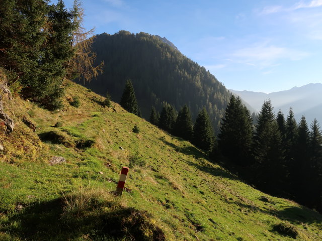 zwischen Sch&ouml;ntalalm und Sonnwendalm (11. Okt.)