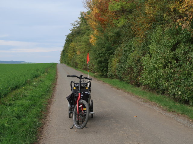 zwischen Harmannsdorf und Stetten