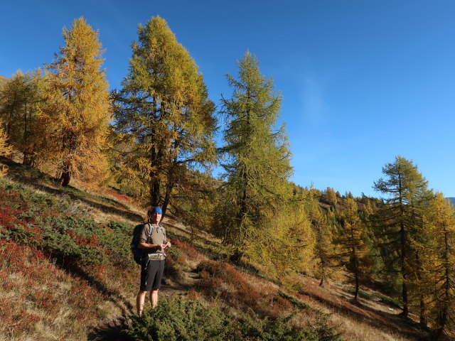 Frank zwischen Wildbachh&uuml;tte und Gumma