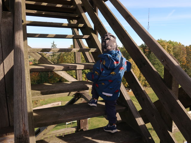 Nils am Aussichtsturm Oberleis, 457 m