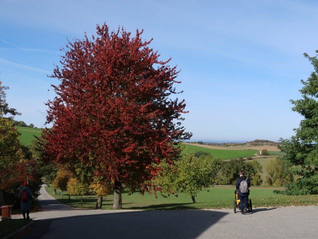 Sabine in Oberleis, 424 m