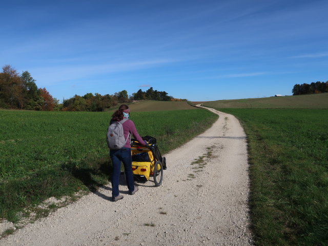 Sabine zwischen Au und Schulberg