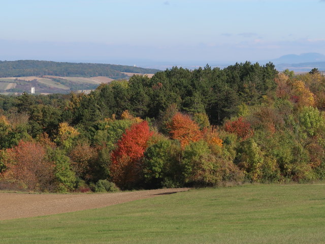 zwischen Schulberg und Zahlberg
