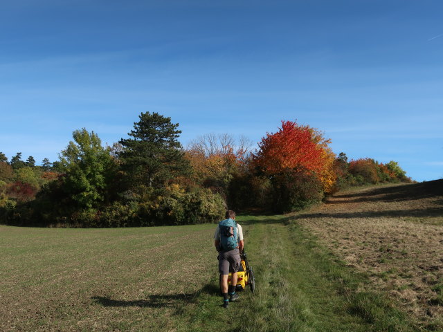 Ich zwischen Zahlberg und Buschberg