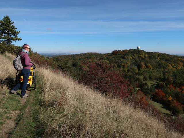 Sabine zwischen Buschberg und Buschbergh&uuml;tte