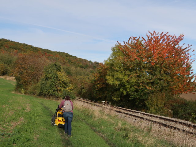 Sabine zwischen Niederleis und Grafensulz