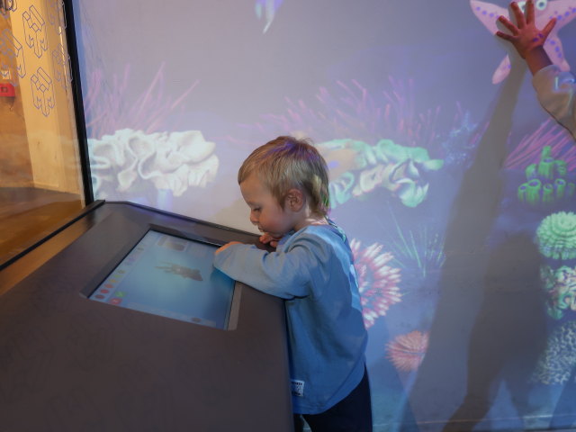 Nils in der Ausstellung 'Planet der Tiere'