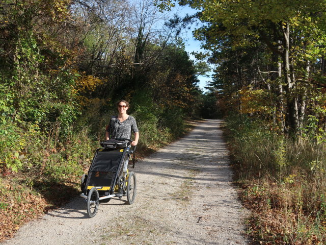 Sabine zwischen Bad V&ouml;slau und Harzberg