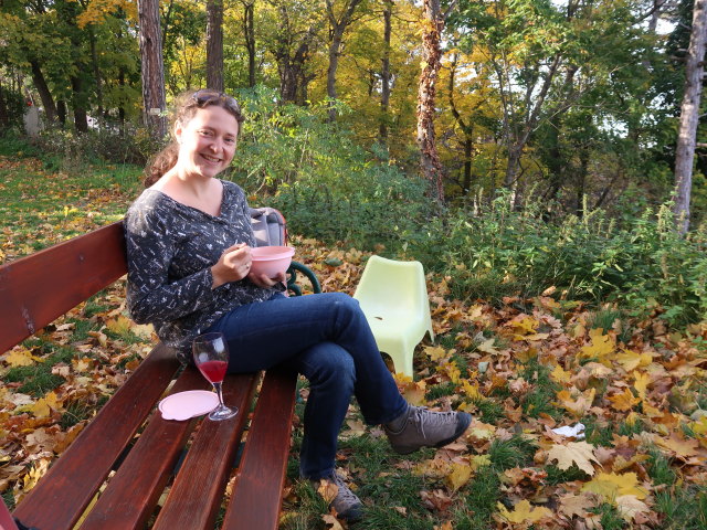 Sabine am Harzberg, 466 m