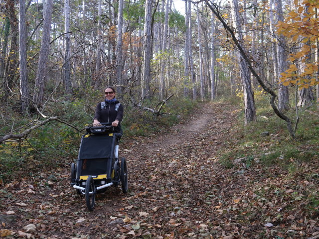 Sabine zwischen Harzberg und Bad V&ouml;slau
