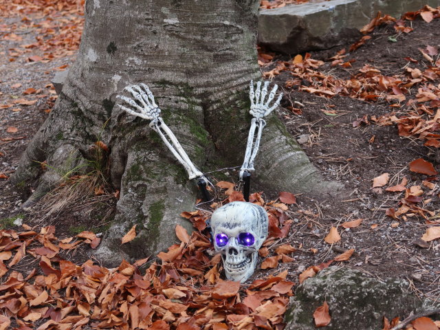 zwischen Harzberg und Bad V&ouml;slau