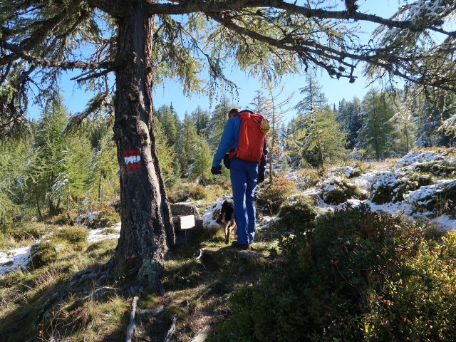 Georg zwischen Saukaralm und Karalm