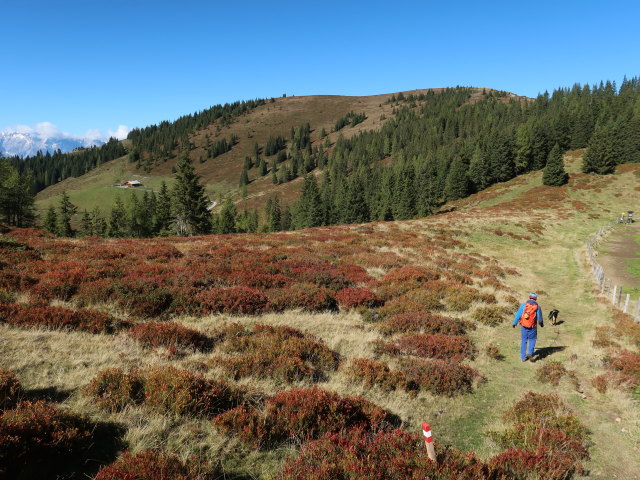 Georg zwischen Penkkopf und Oberwandalm