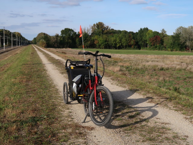 zwischen D&uuml;rnkrut und Grub an der March