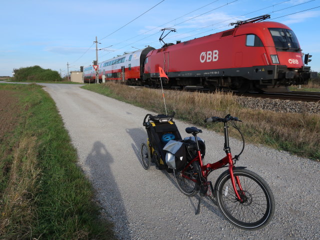 Nils bei Tallesbrunn