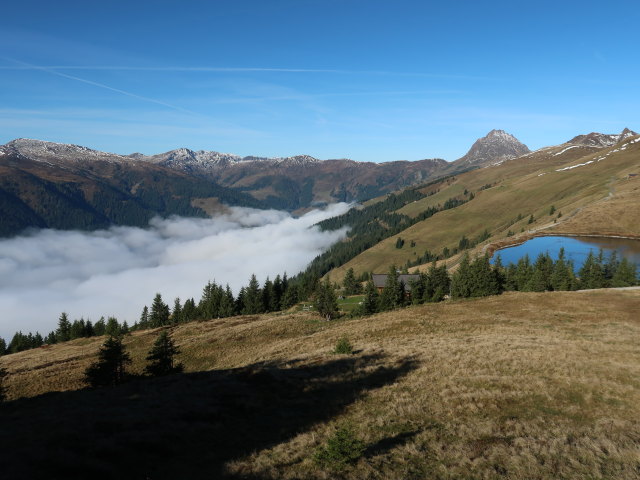 zwischen Resterh&ouml;he und Speicherteich Resterh&ouml;he (11. Okt.)