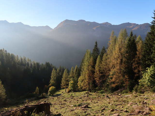 zwischen Sch&ouml;ntalalm und Sonnwendalm (11. Okt.)