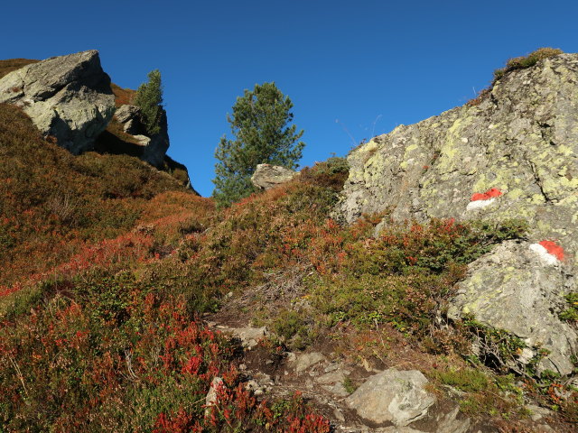 zwischen Haglangeralm und Gerstinger Joch (12. Okt.)