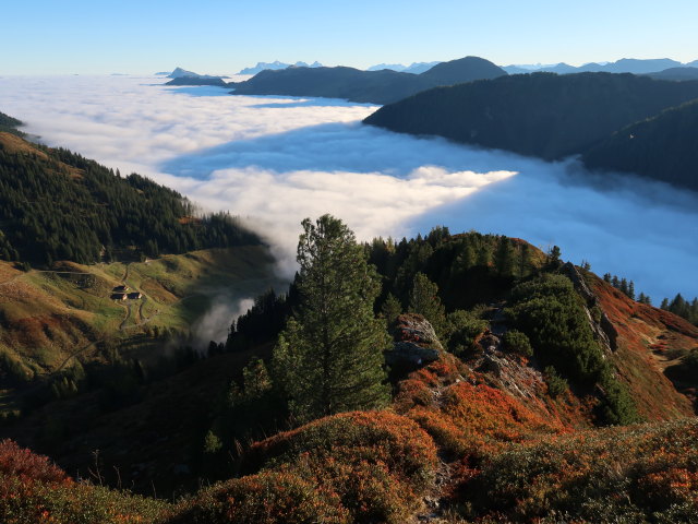 zwischen Haglangeralm und Gerstinger Joch (12. Okt.)