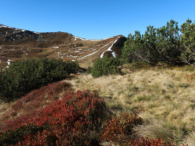 zwischen Gerstinger Joch und Kleinem Tanzkogel (12. Okt.)