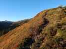 zwischen Haglangeralm und Gerstinger Joch (12. Okt.)