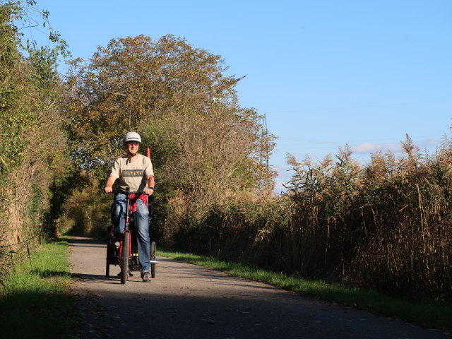 Ich zwischen Obersdorf und Eibesbrunn