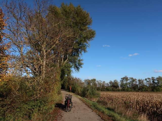 zwischen Eibesbrunn und Gro&szlig;ebersdorf