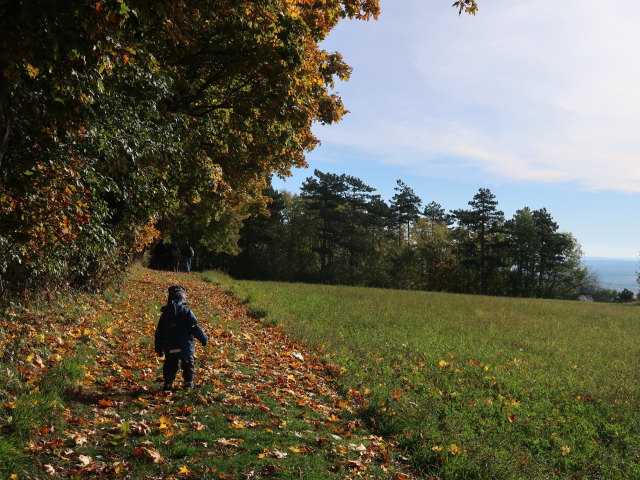 Nils am Oberleiser Berg