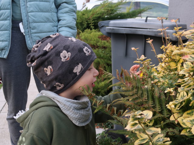 Mama und Nils im Garten meiner Eltern (22. Okt.)