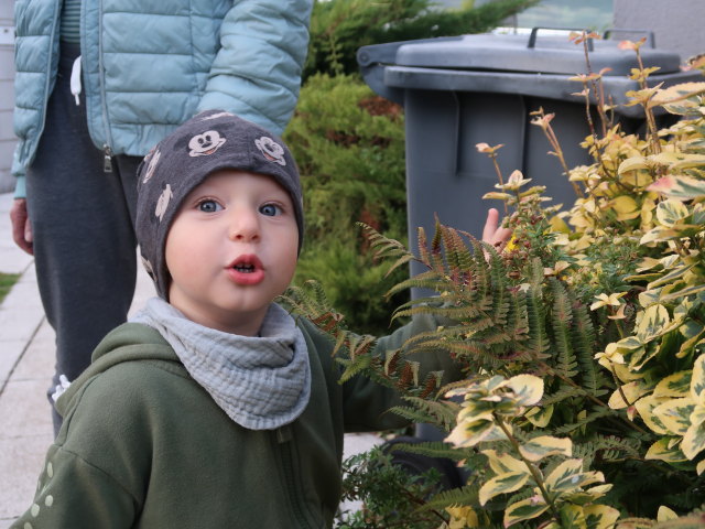 Mama und Nils im Garten meiner Eltern (22. Okt.)