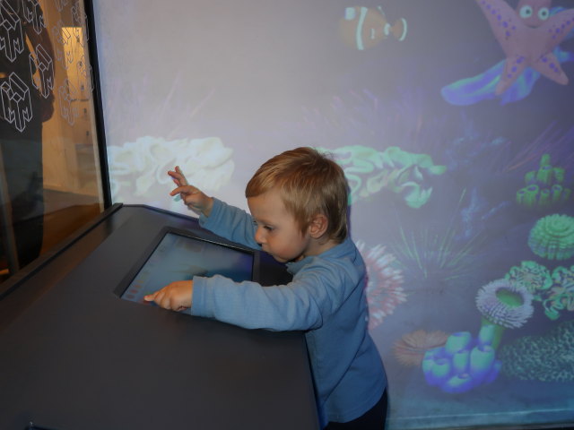 Nils in der Ausstellung 'Planet der Tiere'