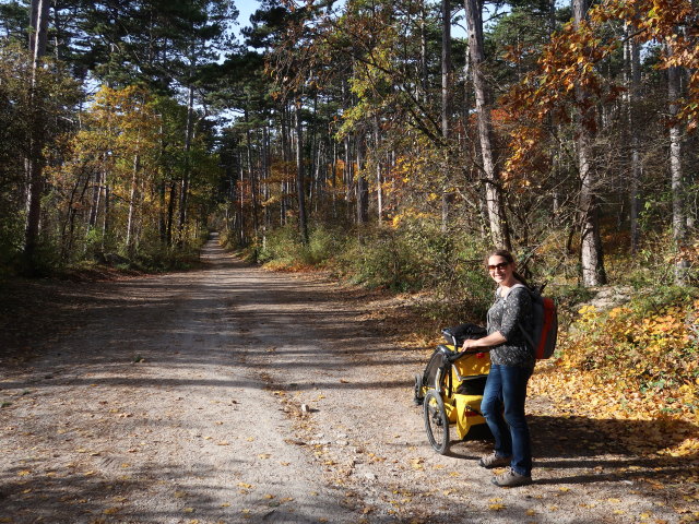 Sabine zwischen Bad V&ouml;slau und Harzberg