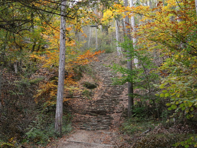 zwischen Harzberg und Bad V&ouml;slau