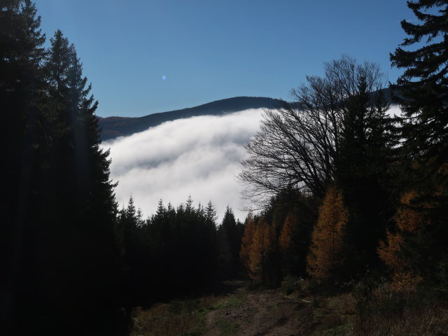 zwischen Preiner Gscheid und Gfl&ouml;tzh&uuml;tte