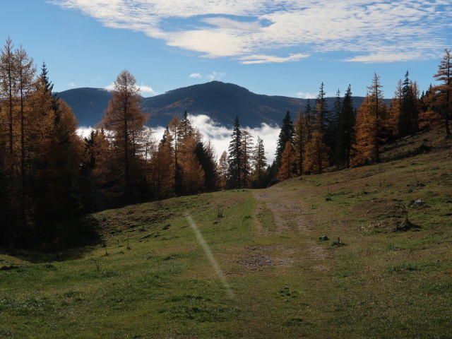 zwischen Gfl&ouml;tzh&uuml;tte und Karl-Kantner-Steig