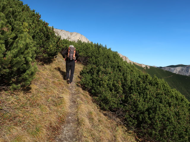 Reinhard zwischen Karl-Kantner-Steig und Bismarcksteig