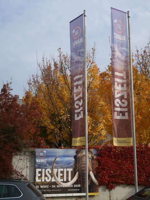 Ausstellung 'Eiszeit' im Museum Mistelbach