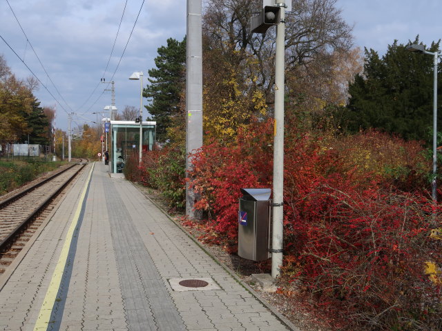 Bahnhof Mistelbach Stadt, 213 m