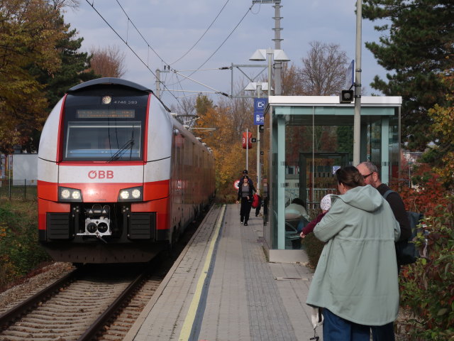 S 19043 im Bahnhof Mistelbach Stadt, 213 m