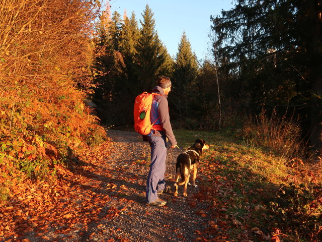 Georg zwischen Mandlberg und Unterem Schwemmberg