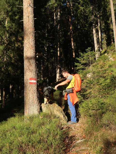 Georg zwischen Mandlberg und Unterem Schwemmberg