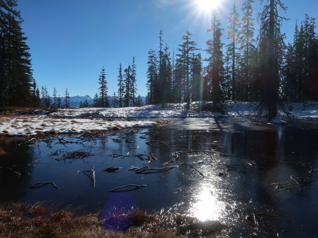zwischen Hoferegg und Rossbrand