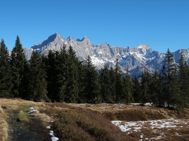 zwischen Hoferegg und Rossbrand
