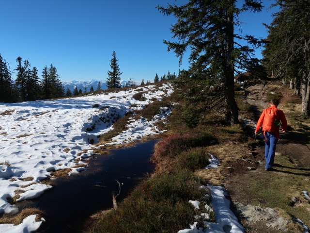 Georg zwischen Hoferegg und Rossbrand