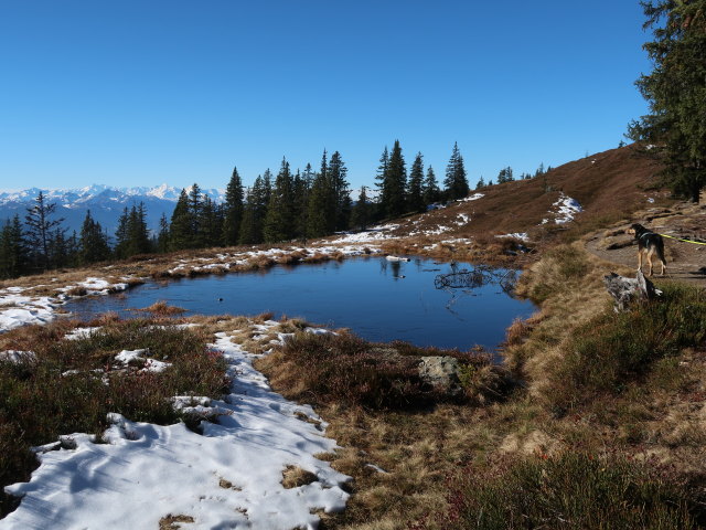 zwischen Hoferegg und Rossbrand